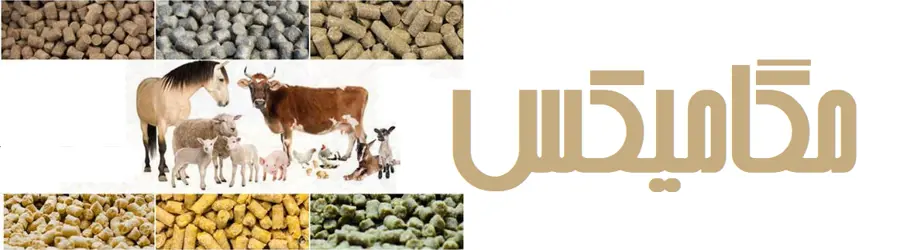 مگا میکس