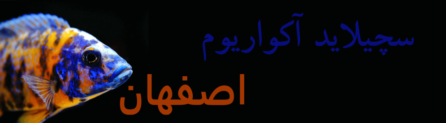 سچیلاید آکواریوم اصفهان 