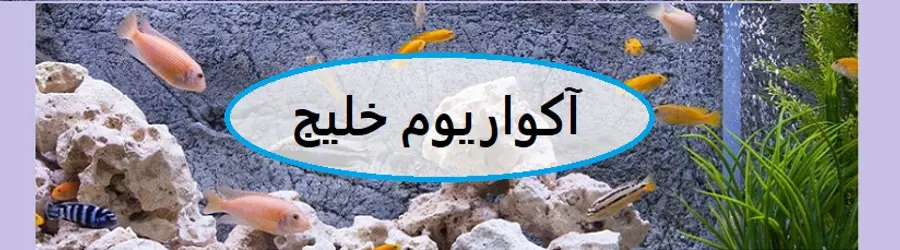 غرفه آکواریوم خلیج