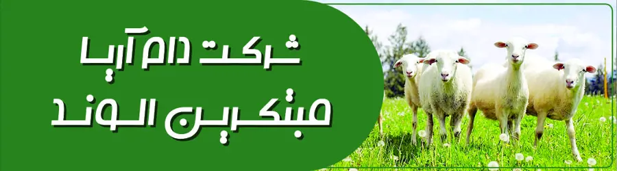 شرکت دام آریا مبتکرین الوند