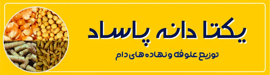 یکتا دانه پاساد