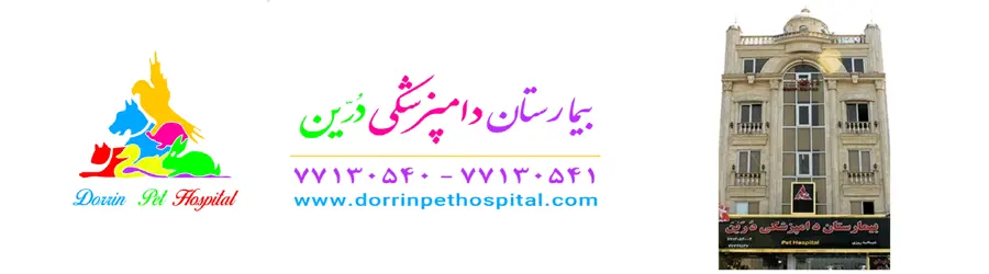 غرفه بیمارستان دامپزشکی  و پت شاپ شبانه روزی درین 