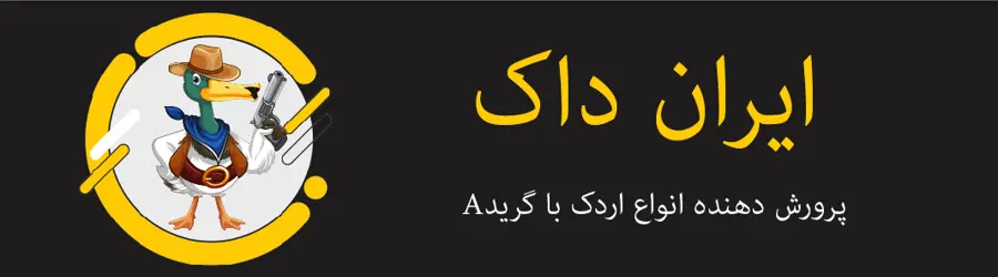 غرفه ایران داک