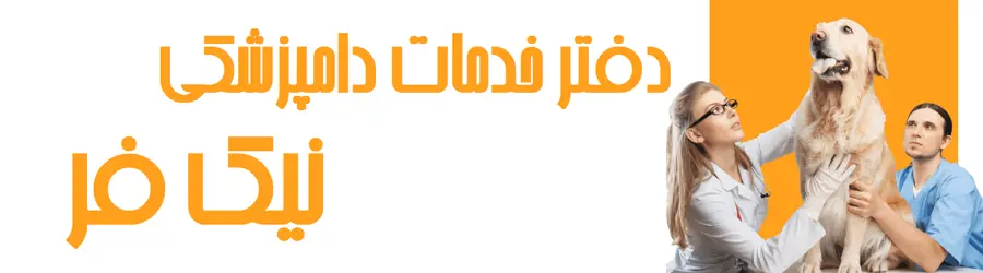 دفتر خدمات دامپزشکی نیک فر