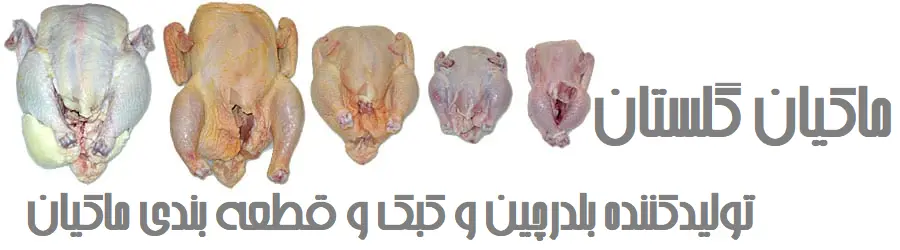 ماکیان گلستان