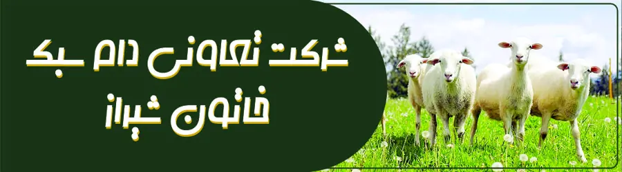 شرکت تعاونی دام سبک خاتون