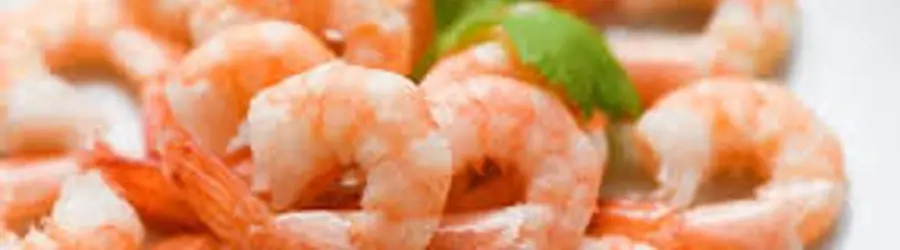 میگو بیرمی