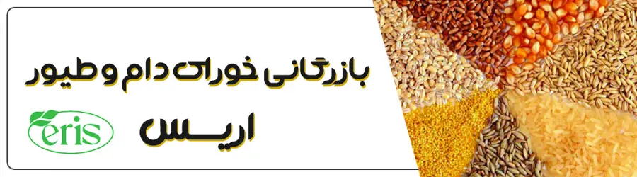 عرش نیلی کاسپین 