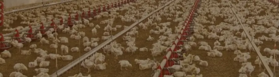 غرفه بهاران قزوین