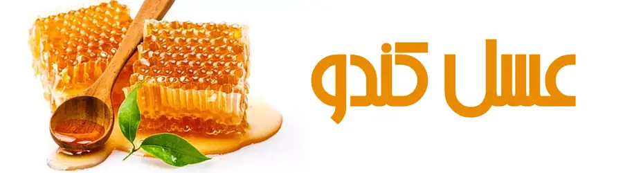 عسل کندو