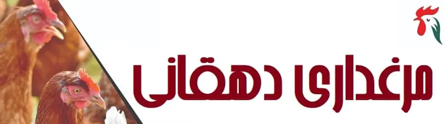 مرغداری دهقانی