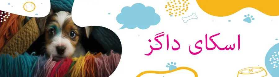 اسکای داگ