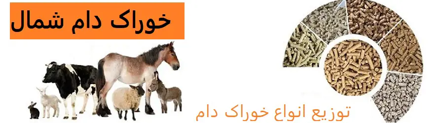 خوراک دام شمال