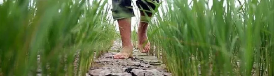شرکت جلال الماس کاسپین