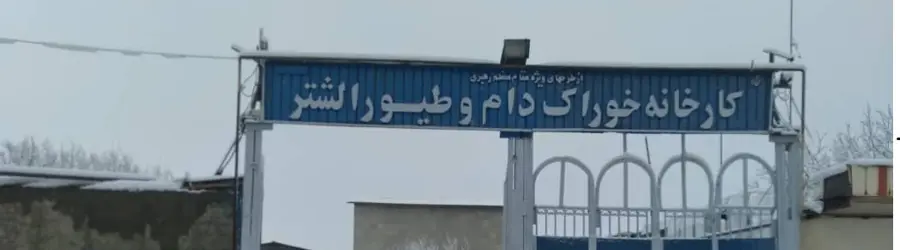خوراک دام الشتر