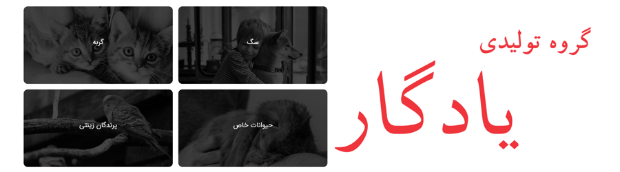 خوراک پت یادگار