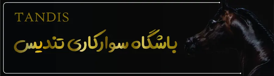 تندیس