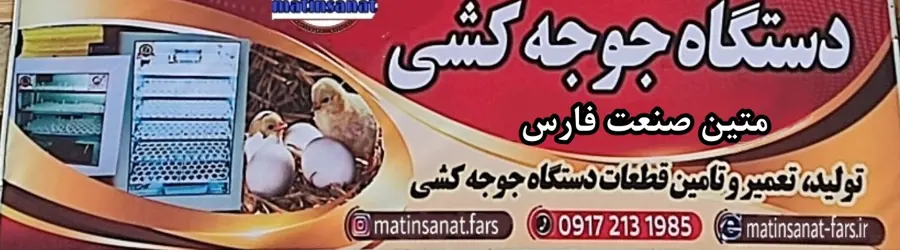 شاهین طیور