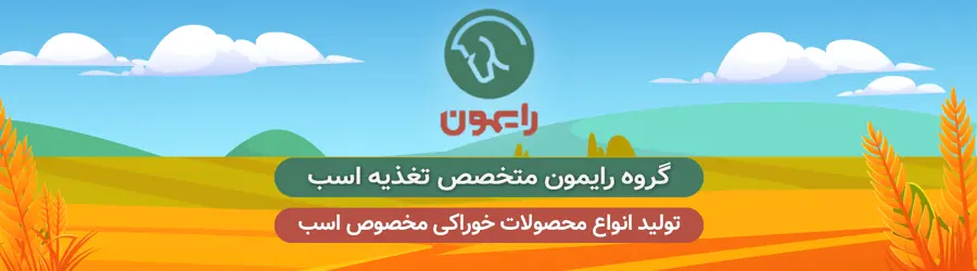 گروه تولیدی رایمون