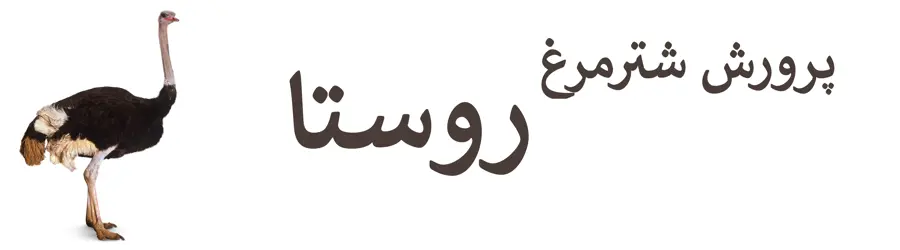 پرورش شترمرغ روستا