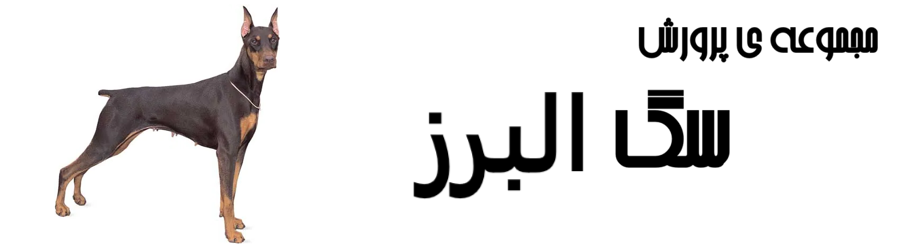 مجموعه ی پرورش سگ البرز