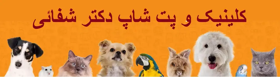 درمانگاه دامپزشکی دکتر شفائی اردکانی