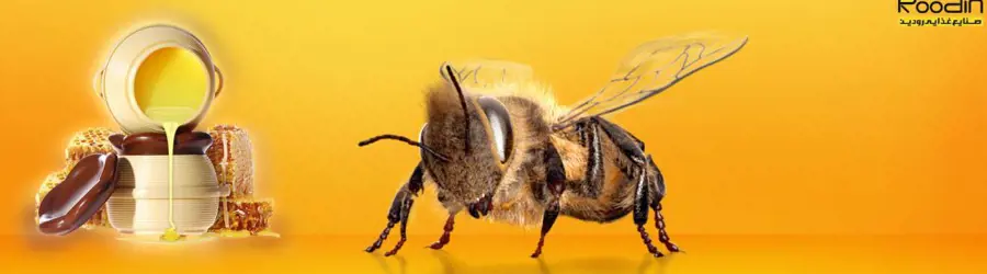 غرفه رودین