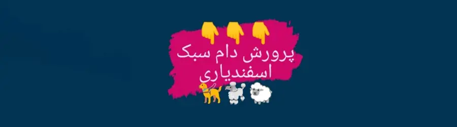 پرورش دام سبک اسفندیاری