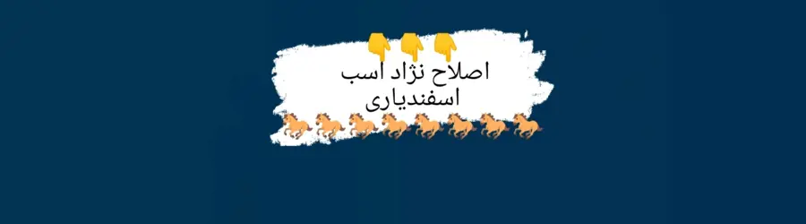 اصلاح نژاد اسب اسفندیاری