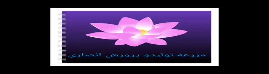 مزرعه تولیدو پرورش  انصاری