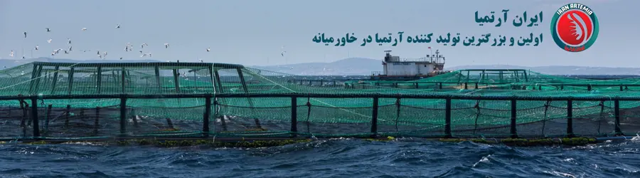 ایران آرتمیا