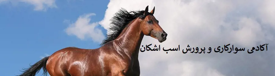 آکادمی سوارکاری و پروش اسب اشکان