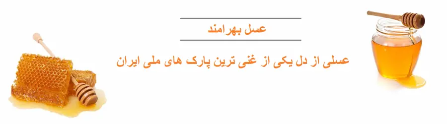 عسل بهرامند