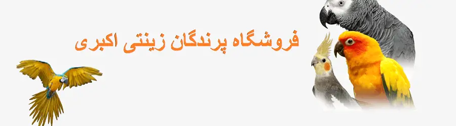 غرفه فروشگاه پرندگان زینتی ایران