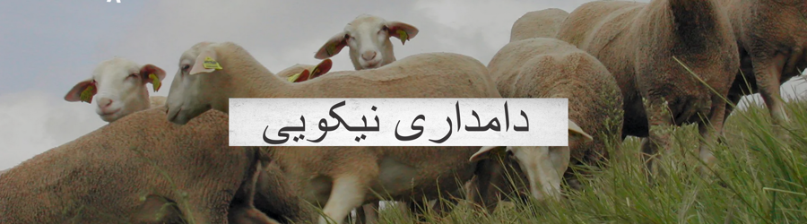 غرفه دامداری صنعتی  نیکویی