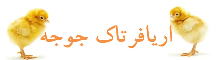فروش جوجه گوشتی اریافرتاک جوجه