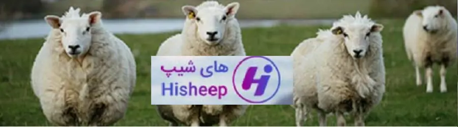 های شیپ