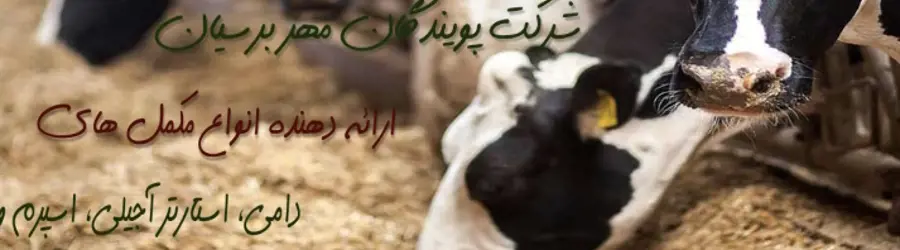 پویندگان مهر برسیان