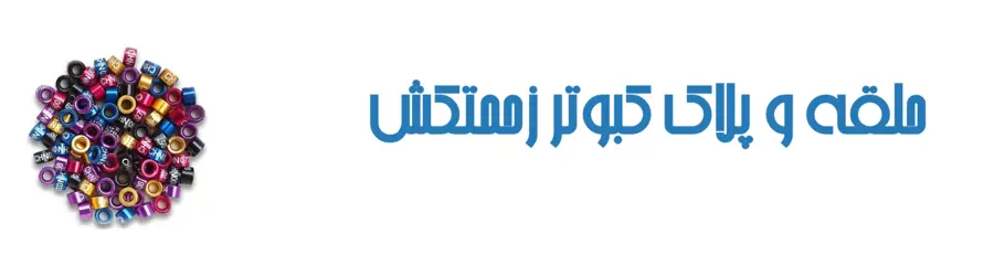 حلقه و پلاک کبوتر