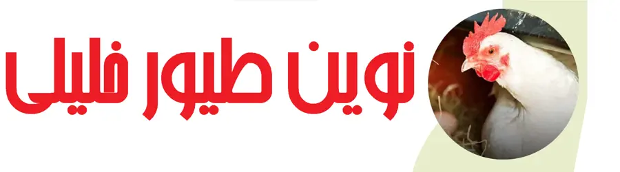  نوین طیور خلیلی