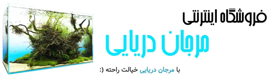 مرجان دریایی