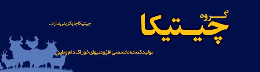 چیتیکا