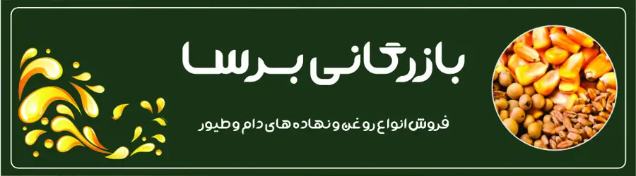 بازرگانی برسا 