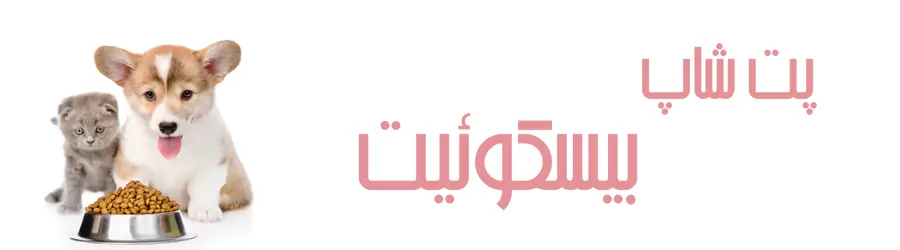 پت شاپ بیسکویت