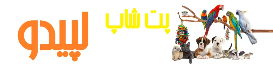 پت شاپ لپیدو