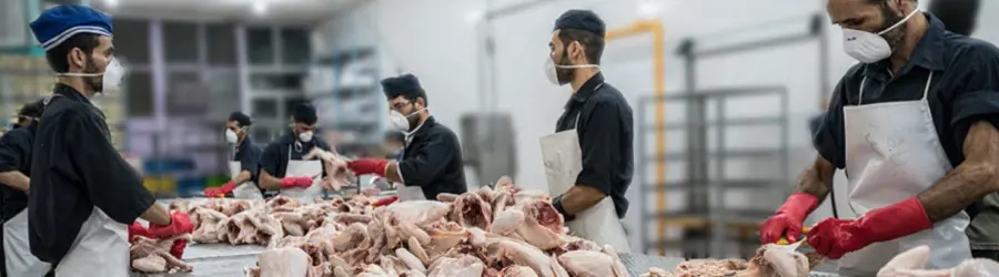 شرکت مجتمع تولیدی صنعتی سفید بال چهارمحال