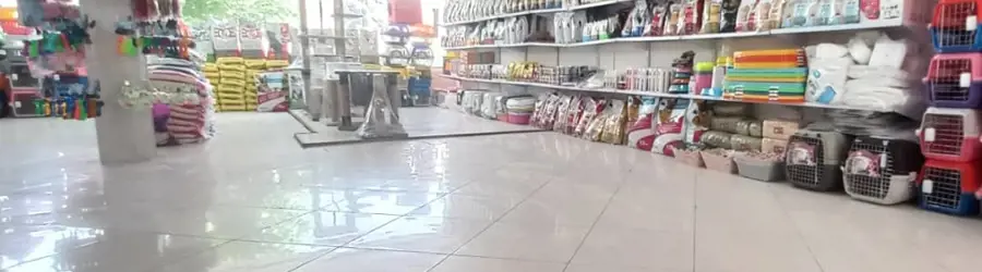 کلینیک آوین پت