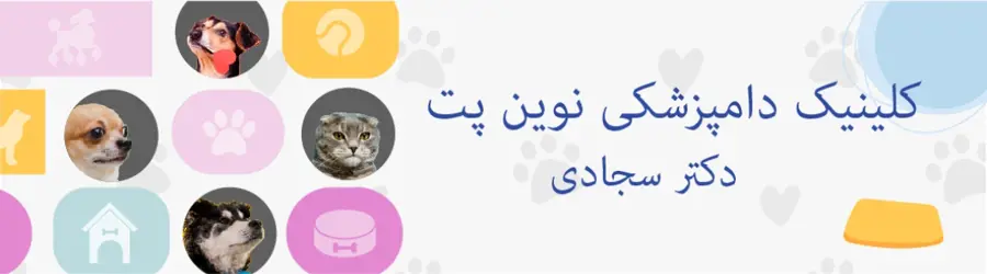 کلینیک دامپزشکی نوین پت