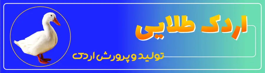 غرفه اردک طلایی
