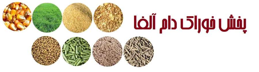پخش خوراک دام آلفا
